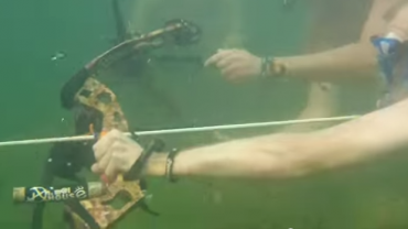 Underwater Bowfishing