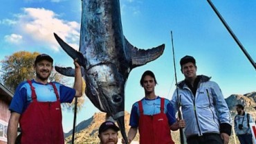 16 year old catches 580 lb swordfish off Tasmania