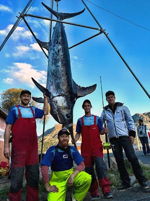 16 year old catches 580 lb swordfish off Tasmania