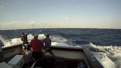 600 lb Black Marlin Jumps into Boat
