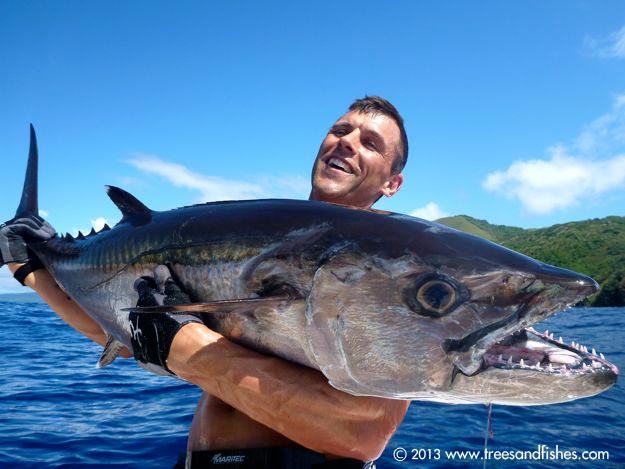 Dogtooth Tuna