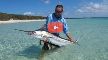 Fly Fishing for Marlin In the Flats