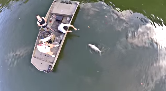 Beautiful Drone Footage of some Incredible Bass Fishing [Video