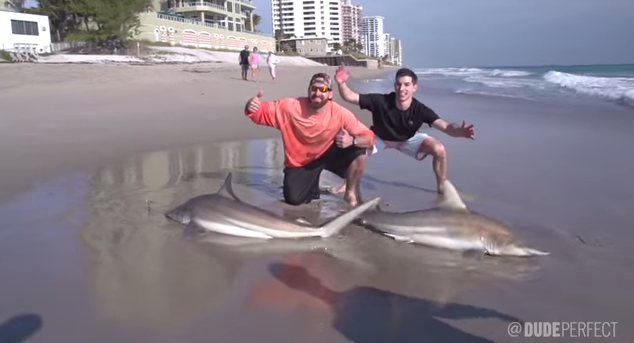 Dude Perfect Have a Shark Fishing Battle On the Beach