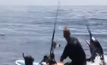 Man Catching Marlin From His Surfboard