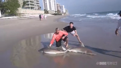 Shark Fishing Battle Dude Perfect