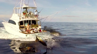 Sweet Drone Footage of Some Marlin Fishing