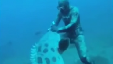 Giant Goliath Grouper Attacks Diver While Spearfishing