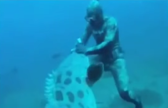 Giant Goliath Grouper Attacks Diver While Spearfishing