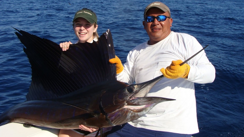 Red Tuna Fishing Shirt Club - July 2015 Sailfish Oasis Charters 5