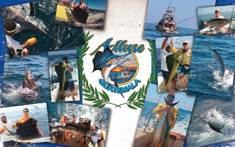 Red Tuna Fishing Shirt Club - Sailfish Oasis Charters postcard