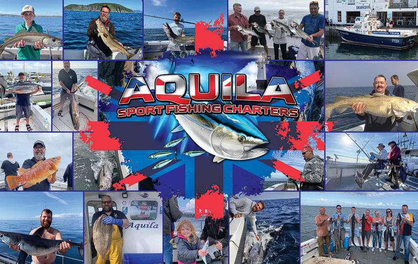 Aquila Sportfishing Charters  - Performance