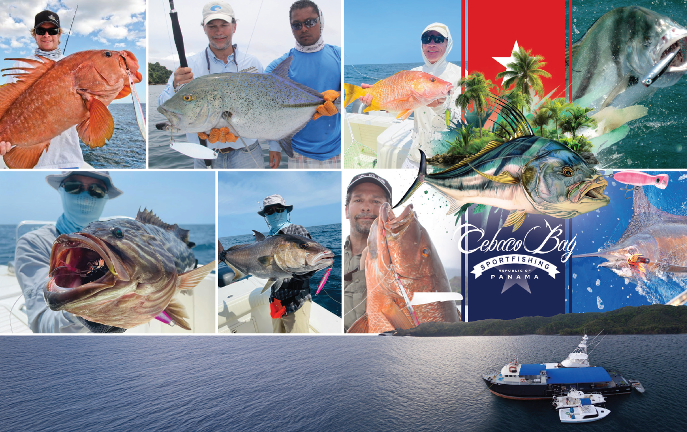 Cebaco Bay - Performance