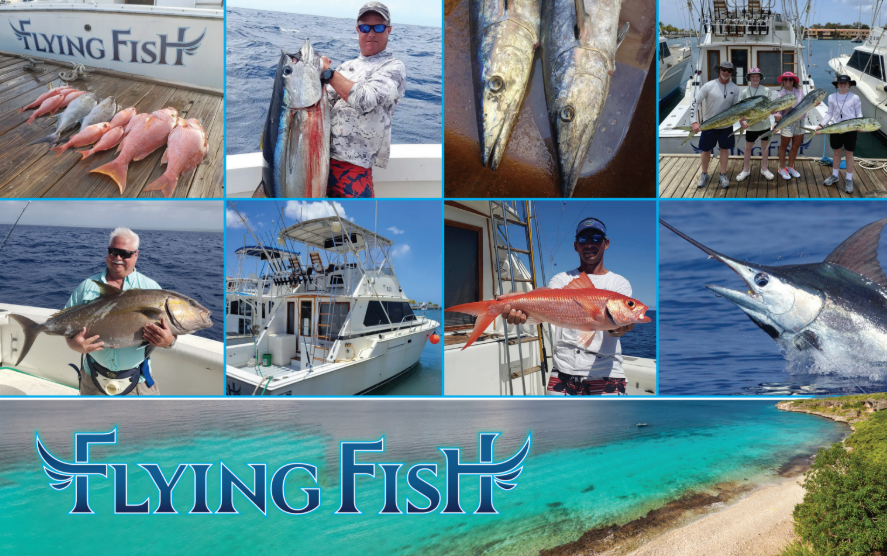 Flying Fish Charters - Performance