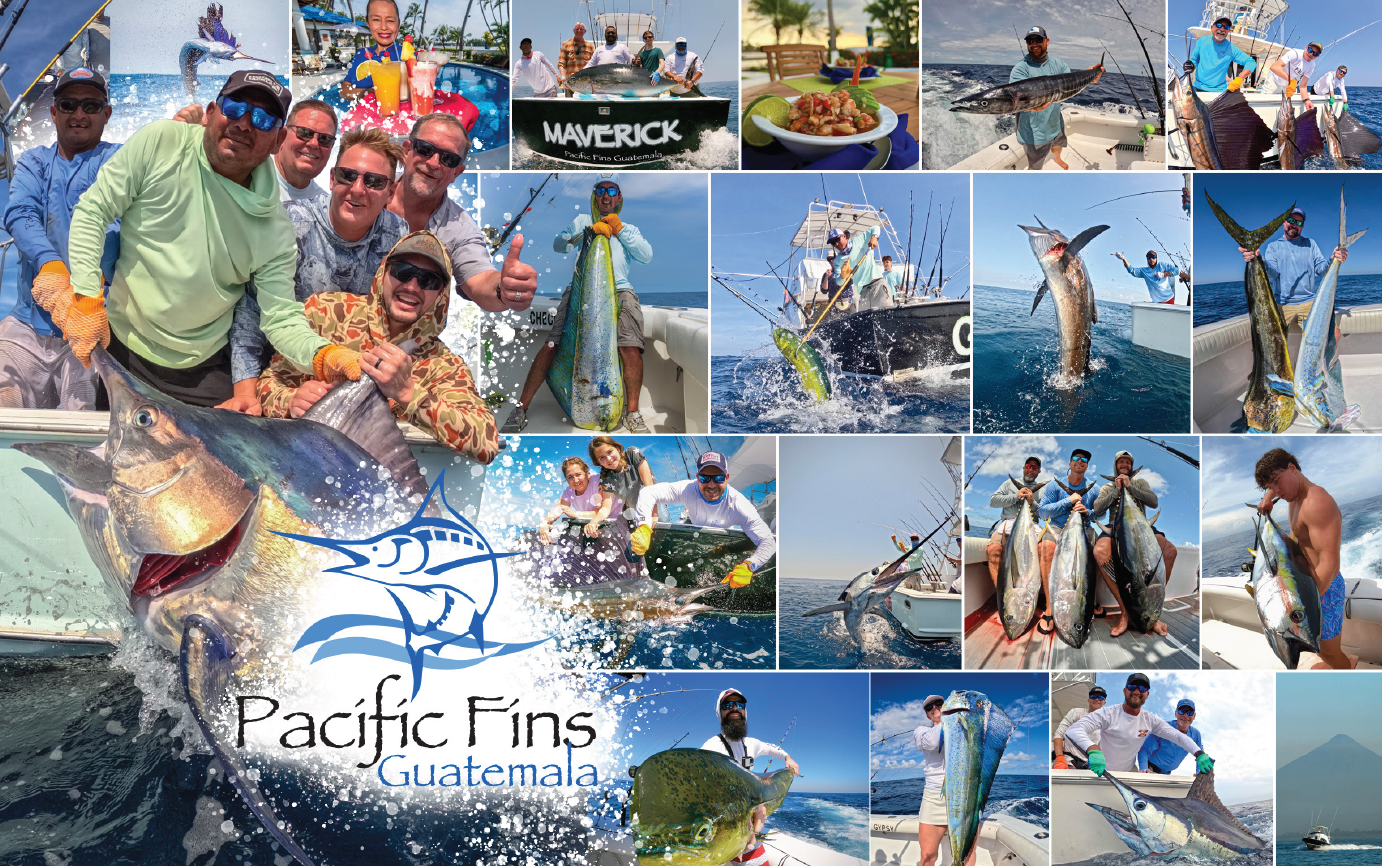 Pacific Fins Resort - Performance