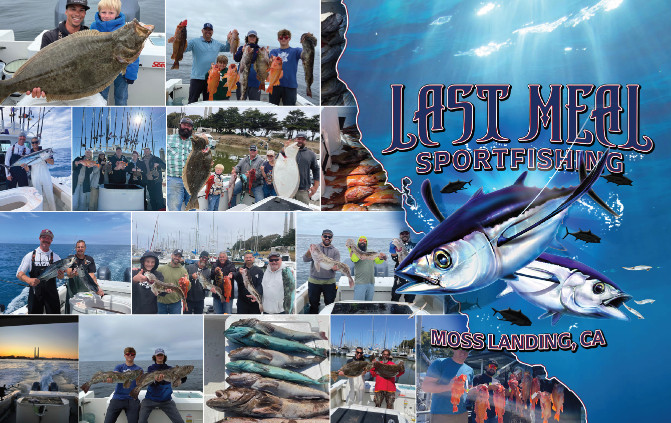 Last Meal Sportfishing - Performance