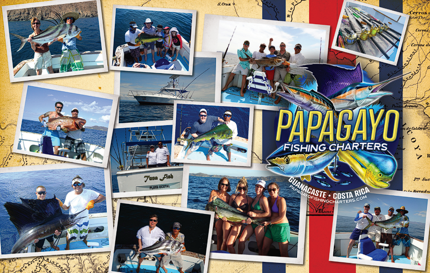Papagayo Fishing Charters - Performance