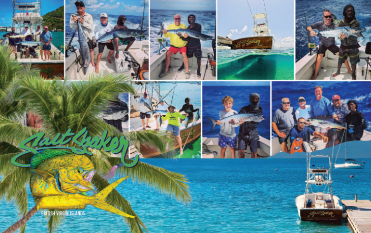 Salt Shaker Charters - Performance