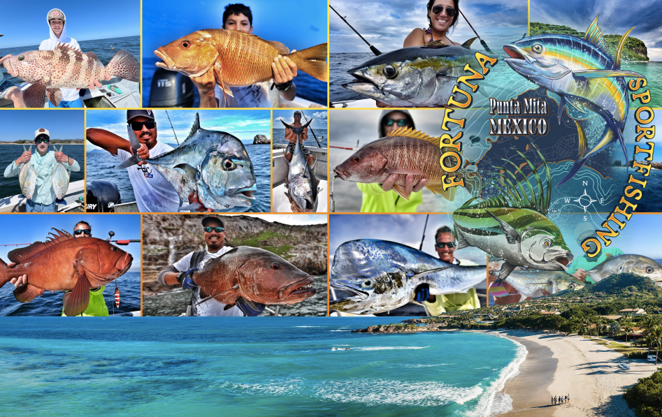 Fortuna Sportfishing - Performance