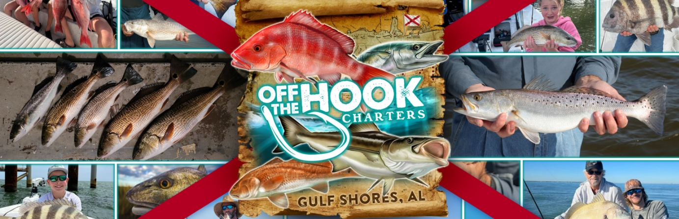 Off the Hook Charters
