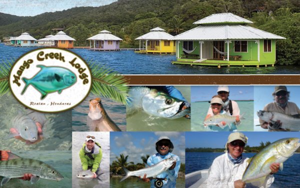 Mango Creek Lodge - Short Sleeve