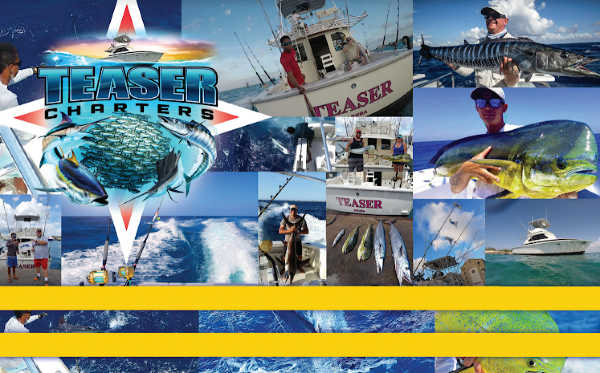 Teaser Charters - Long Sleeves